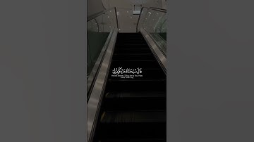 راحه نفسيه 😌💙🤲🏻#التوبة #القرآن #القرآن_الكريم #الله #ترند #توبہ #قرآن_كريم #قران_كريم #تلاوة_خاشعة