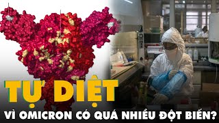 Omicron sẽ tự diệt chính mình vì có quá nhiều đột biến?