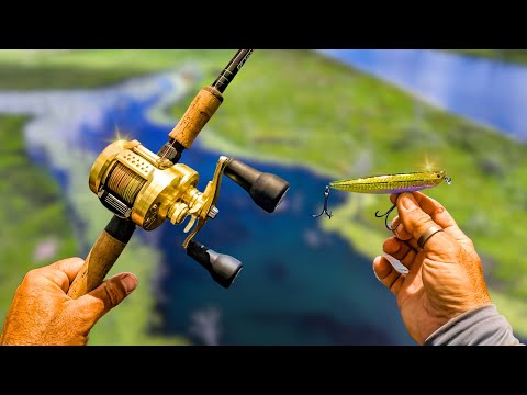 Topwater Chaos Massive Fish Explodes in Epic Strike!