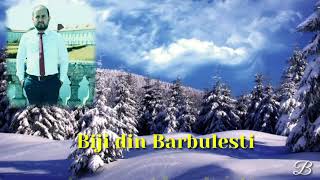 Video thumbnail of "Biji din Barbulesti - Sa nascut Isus Hristos"