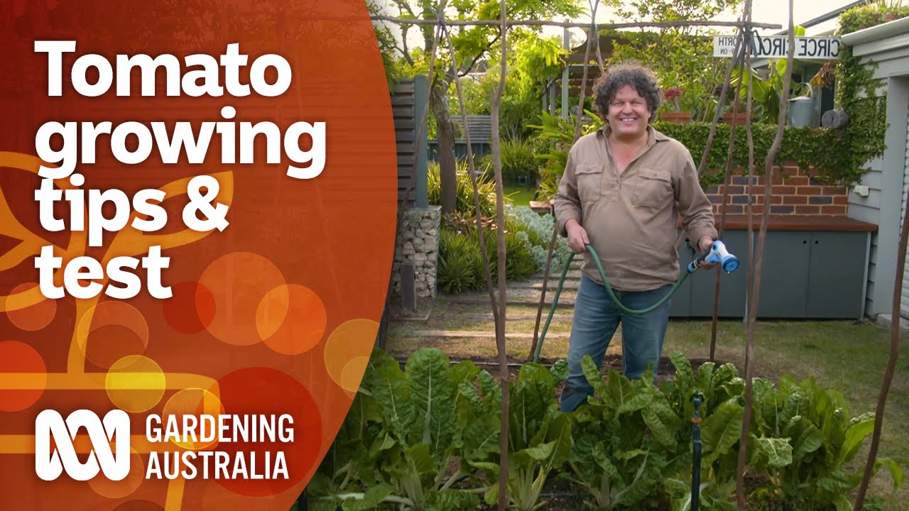 How to stop crowing  Organic Gardener Magazine Australia