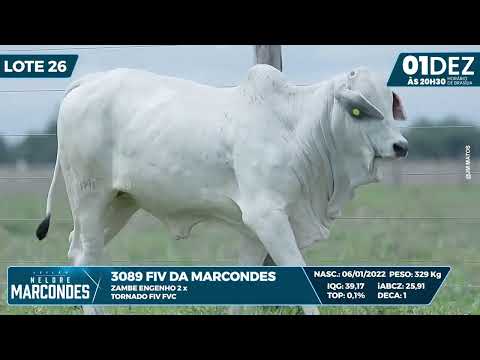 LOTE 26   MMAR 3089