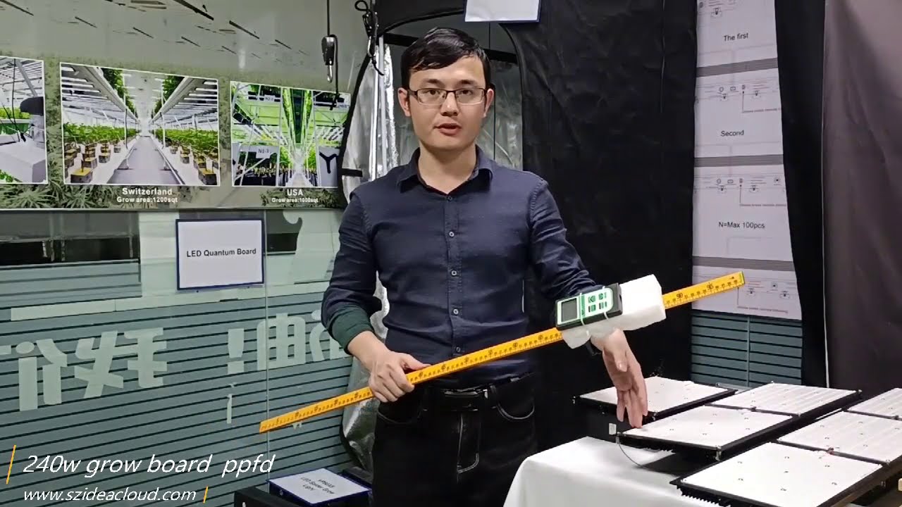 240W Quantum board grow light PPFD test