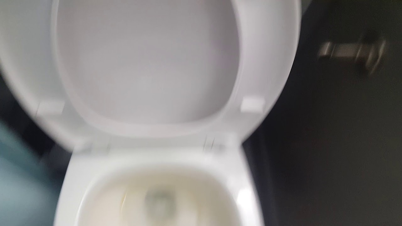 Cheap 2017 or 2018 Dolphin Plumbing toilet YouTube