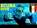 SCUBA DIVING the RED SEA // Egypt Travel مصر