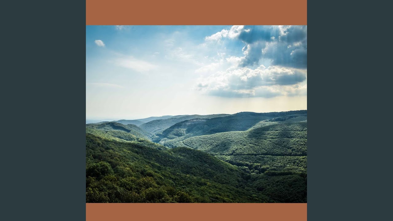 Stylish Backdrops for Relaxing Energy