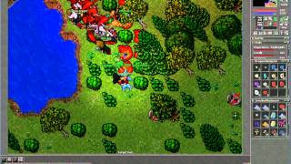 Tibia - Dolera Server - Killing Orshabaal