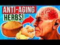 12 Best ANTI-AGING Herbs That Helps Protect The Brain &amp; Memory Loss