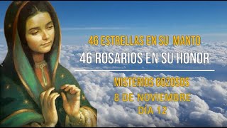 DÍA 12: 46 ROSARIOS A LA VIRGEN DE GUADALUPE POR LAS 46 ESTRELLAS DE SU MANTO, LUNES 8 DE NOVIEMBRE