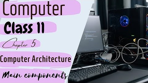 Class 11| Computer Science | Chapter 5 | Computer Architecture | Main Components | Brain boost