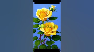#قران_كريم #قرآن #قرآن_كريم #سورة_النساء :  أُولَٰئِكَ مَأْوَاهُمْ جَهَنَّمُ وَلَا