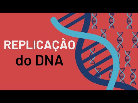 Vídeo: Quais são as 4 enzimas principais na replicação do DNA?