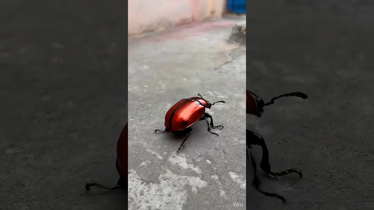 इतना बड़ा कीड़ा स्कूल में आ गया 😨😱ll #shortsfeed #danger #vikassir #shorts #school #monster