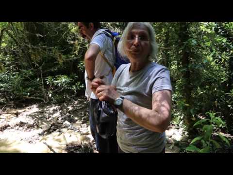 Cerattepe'de tehlike çanları