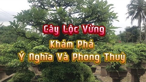 Cây Lộc Vừng _ Ý Nghĩa Và Phong Thuỷ #caycanh #phongthuy #bonsai #viralvideo #xuhuong