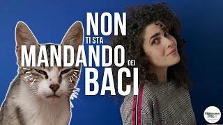 I GATTI mandano i BACI?