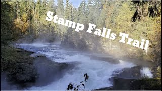 Stamp falls, Port Alberni. The end show the salmon on the salmon cam!