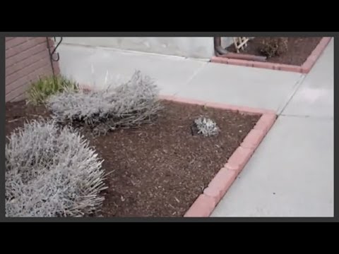 How to install block edging. - YouTube
