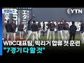 WBC 대표팀, 빅리거 합류해 첫 훈련..."7경기 다 할 것" / YTN