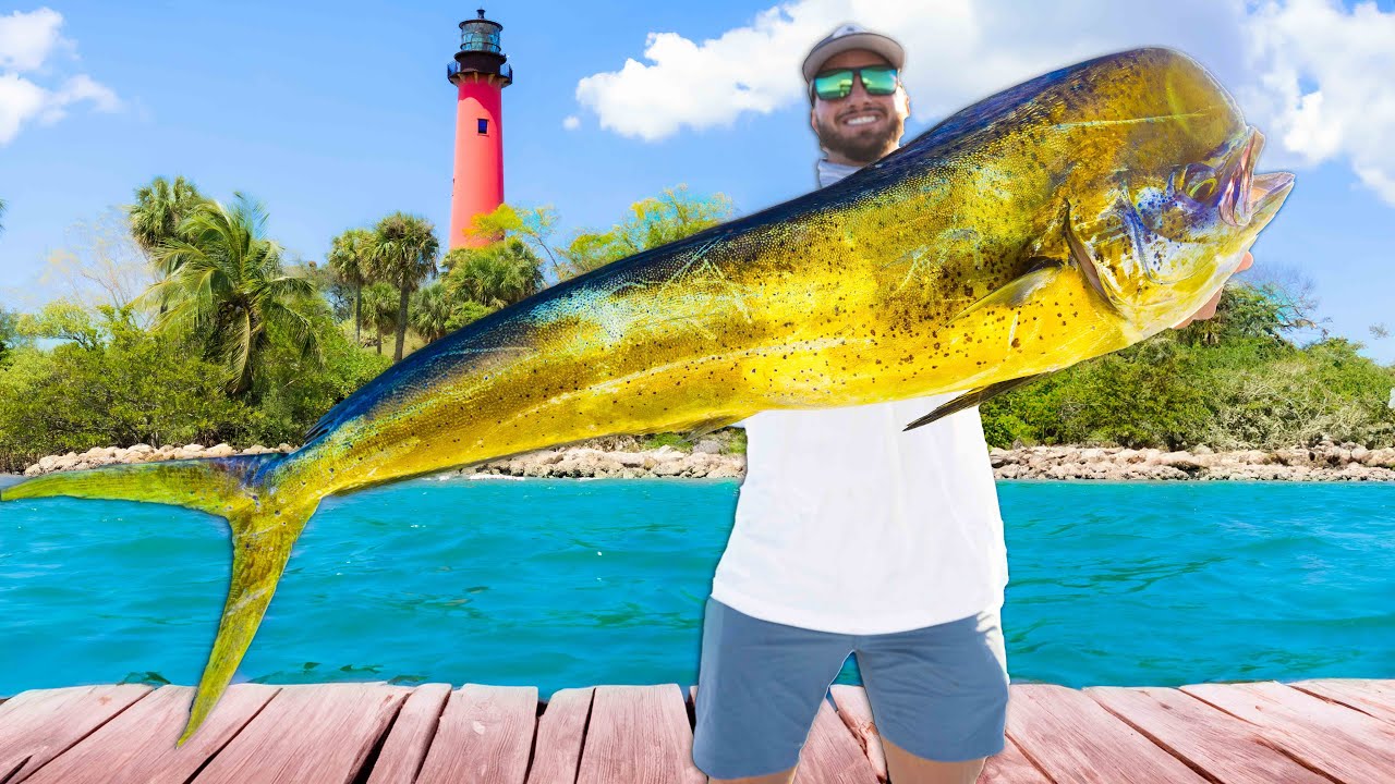 48 Hrs to Catch Every Prized Fish in Florida! | Kingfish, Cobia, Snook, Mahi, Snapper, Grouper, Tuna
