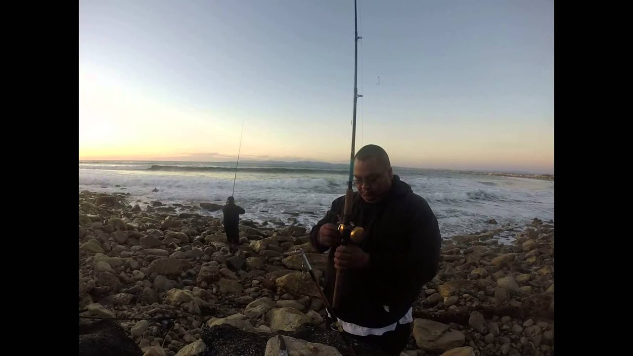 TORRANCE BEACH ROCK FISHING / FREESTYLE FISHING YouTube
