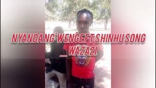 Nyanda ng'wenge ft Shinhu Song_WAZAZI Offiicial audio 2025 by Dj chinga
