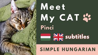 Meet My CAT 😺 - Simple Hungarian with bilingual subtitles
