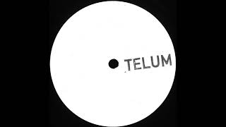 Unknown Artist - Untitled (B2) [TELUM004]