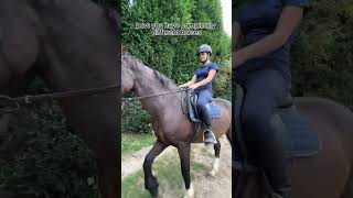 so cute #horse #fyp #height