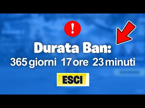 Ho 24 ORE per farmi BANNARE da Fortnite...(Ha Funzionato!)