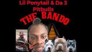 😁 Lil Ponytail & Da 3 Pitbulls 😁 Hood Stories #guitark #comedy #funnyreels #funny ✅✅✅