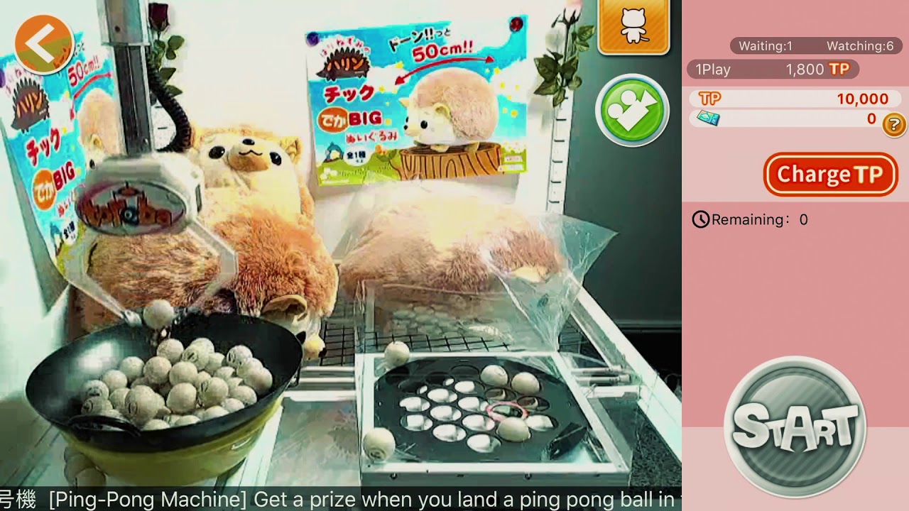 Daily Toreba Free Play