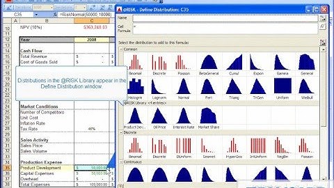 How to Use the @RISK Library