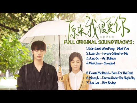 [ OST ] Evan Lin Yanjun \u0026 Wan Peng : “Meeting You” | 林彦俊 \u0026 万鹏《遇到你》| Crush | 原来我很爱你 | iQiyi