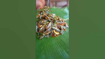 cá suối cuốn lá chuối - SON DUOC VLOG