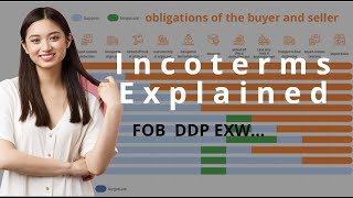 Incoterms Explained: what are incoterms and How to choose incoterm? FOB, EXW, DDP【complete guide】