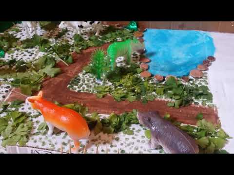 اياد ابني ينجز مشروع حديقة الحيوان