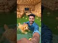 😱 Puri Bread Se Bana Diya Swimming Pool House! 🤯🏊 #Shorts