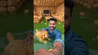😱 Puri Bread Se Bana Diya Swimming Pool House! 🤯🏊 #Shorts