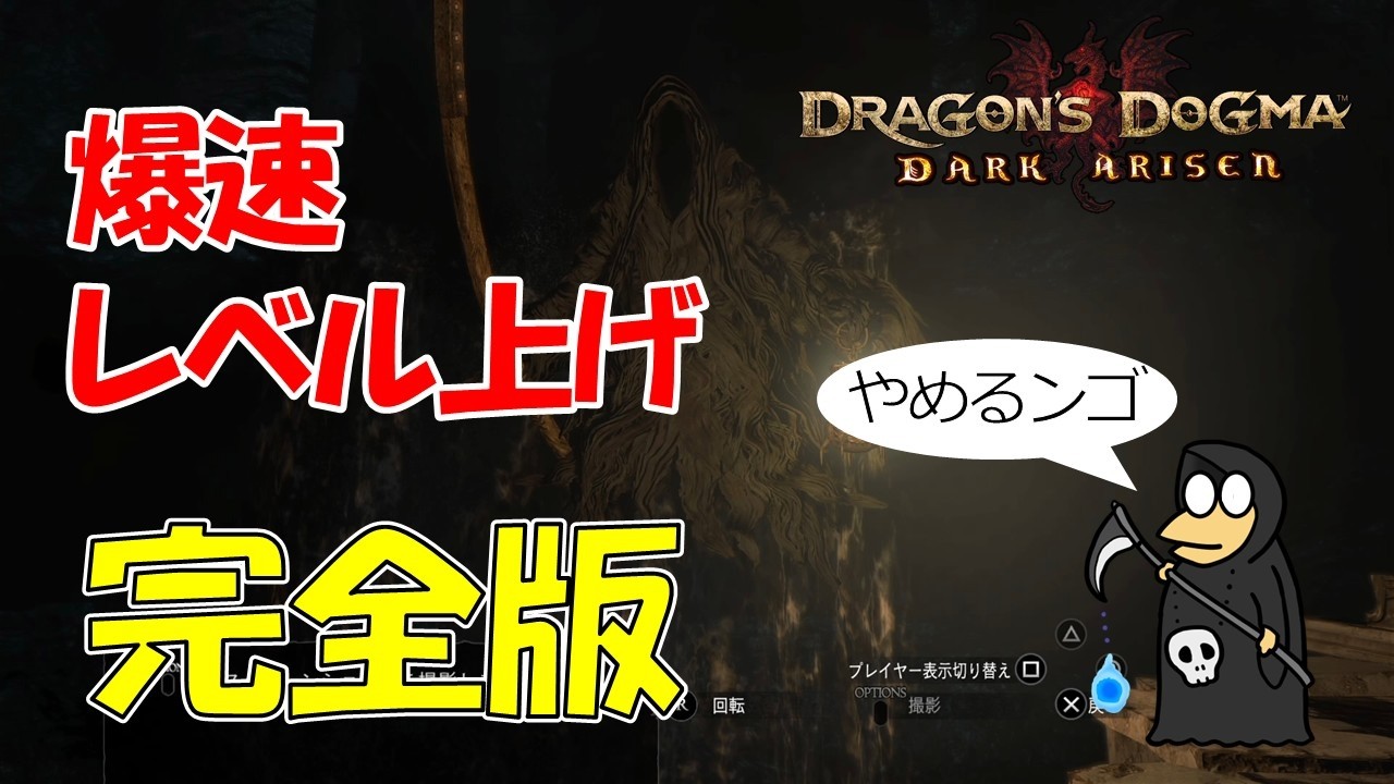 ドラゴンズ ドグマ ダーク アリ ズン レベル 上げ