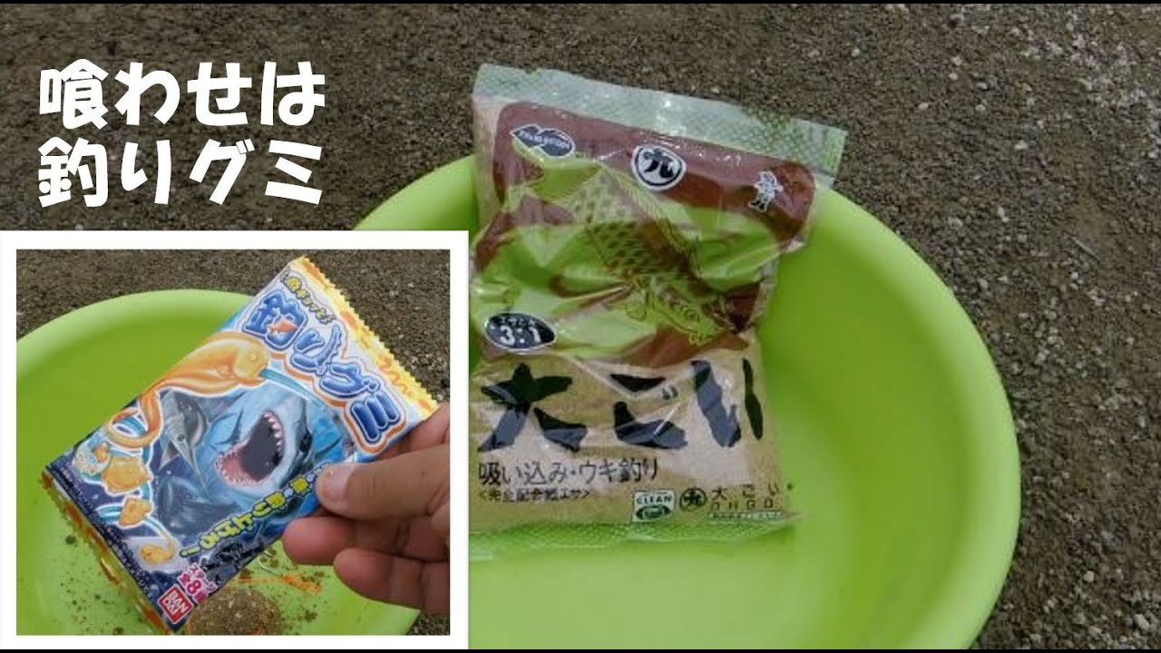 大ごいde鯉釣り