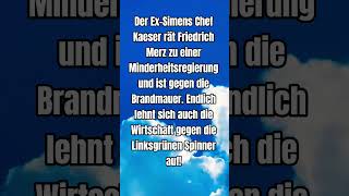 Ex-Simens Chef gegen Merz #shorts #shortsfeed #shortvideo #afd #politik #deutsch #foryou #fyp