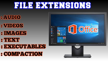 File Extensions For Video, Audio, Text, Images, Executable, Compaction || #microsoftexcel