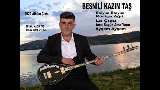 BESNİLİ KAZIM TAŞ AMA BU GÜN AMA YARIN Resimi