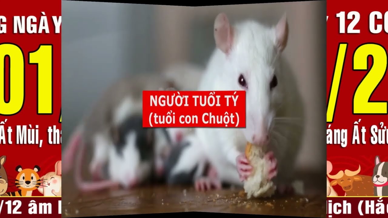 Xem ngày xuất hành theo tuổi - Tìm hiểu về cách tính toán và những lời khuyên quý giá