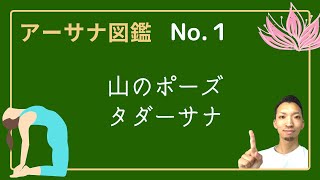 【アーサナ図鑑】No.1山のポーズ | 姿勢と気持ちを整える！