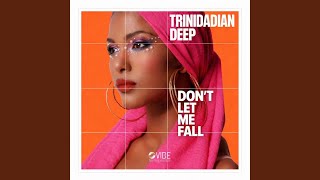 Don't Let Me Fall