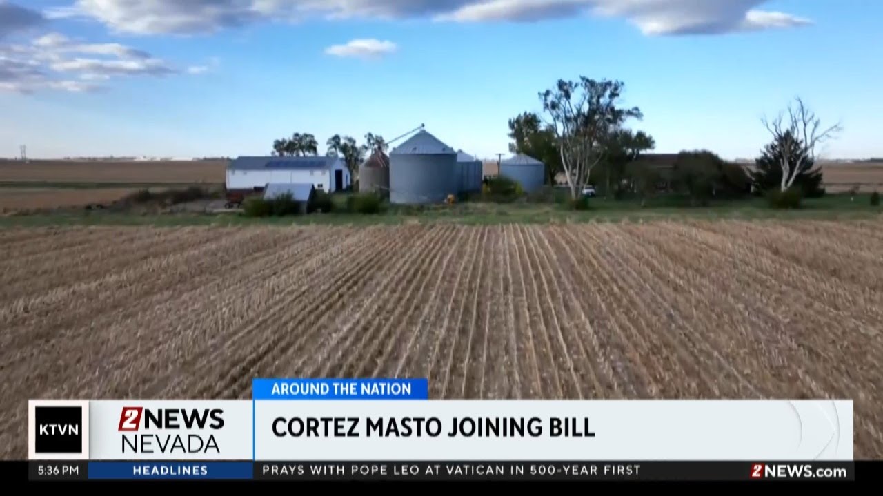 Senator Cortez Masto joins bill to block president from bailing out ...