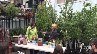 HGTV One Step Style Container Demo at Ace Hardware Takoma Park