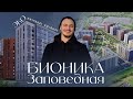 Бионика Заповедная | Экология или нет?